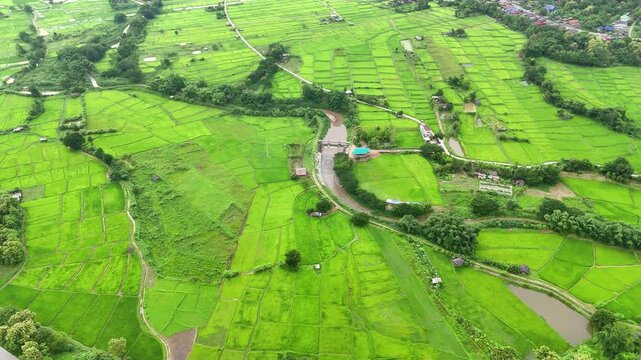 Beautiful aerial landscape showing lush green rice paddies and a small village in Lampang province