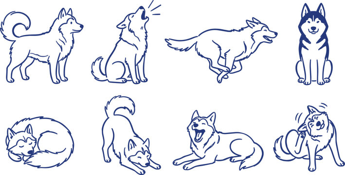 Siberian Husky Dog Poses Vector Set Featuring Cute Puppy Character Sketches of Standing Howling Running Sitting Sleeping Stretching and Scratching Blue Line Art