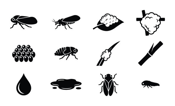 Insect Pest Icons: Aphids, Leafhoppers, Eggs, Droplets, Plant Damage, Agricultural Vector Set