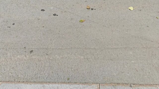 Stairs with fallen leaves and dirt on a gray concrete surface