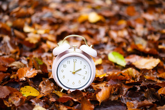 End of daylight saving time in autumn, winter time changeover, alarm clock fall back switch, colorful foliage in forest