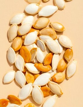 Pile of Roasted Pumpkin Seeds in Warm Cream and Muted Orange Hues