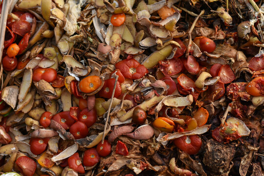 Organic food waste on heap close-up. Compost pile with layers of food scarps and organic materials. Compost pit for organic scarps.
