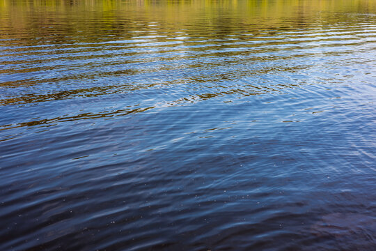 Blue water surface with ripples and forest reflections