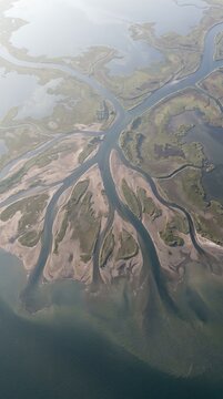 Vertical Aerial River Delta Background with Organic Water Patterns and Coastal Wetlands
