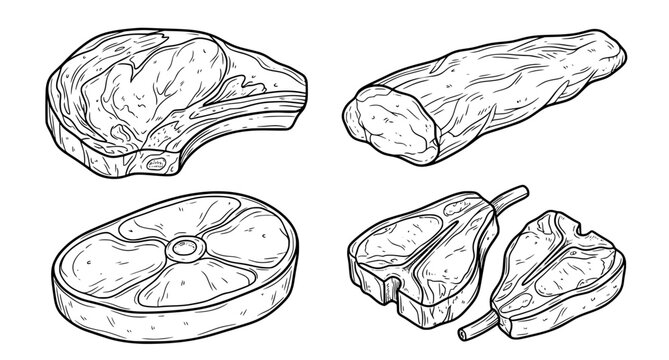 Fresh Raw Meat Collection Beef Steak Ham Pork Fillet Lamb Chops Sketch Vector
