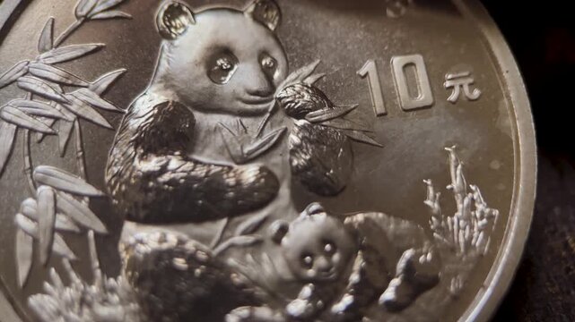 Chinese Panda 10 Yuan 1 oz Silver Coin Detail Macro Video