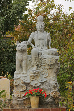 Stone Guanyin statue with tiger, traditional Asian goddess of mercy sculpture with garden foliage background for feng shui and meditation concept