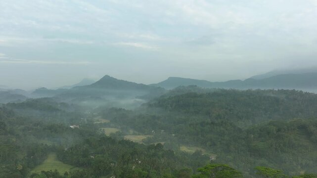 Aerial view of a mountain forest in the Sri Lankan rainforest surrounded by mountains, rice fields and tropical vegetation. Scenic landscape of nature..