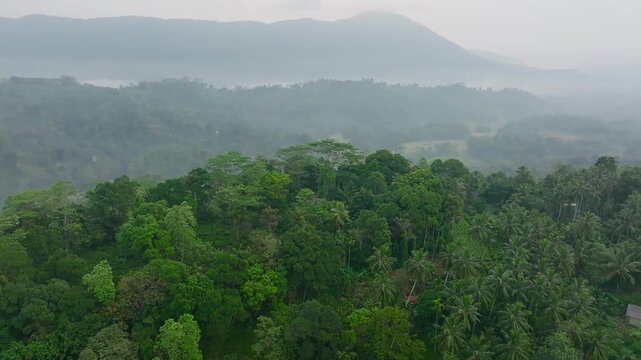 Aerial view of a mountain forest in the Sri Lankan rainforest surrounded by mountains, rice fields and tropical vegetation. Scenic landscape of nature..