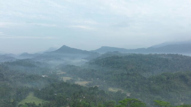 Aerial view of a mountain forest in the Sri Lankan rainforest surrounded by mountains, rice fields and tropical vegetation. Scenic landscape of nature..