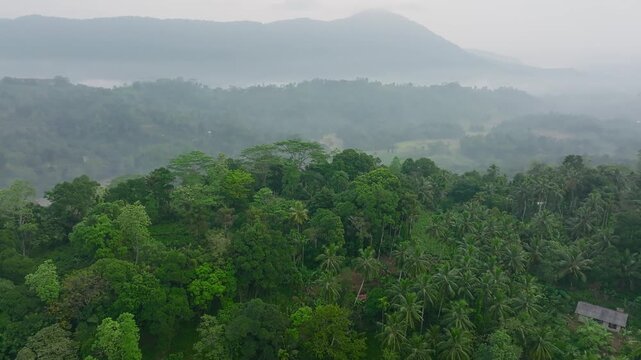 Aerial view of a mountain forest in the Sri Lankan rainforest surrounded by mountains, rice fields and tropical vegetation. Scenic landscape of nature..