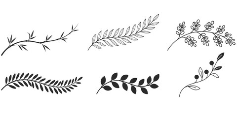 Obraz premium Set of hand drawn botanical floral elements including various branches leaves and twigs for wedding design