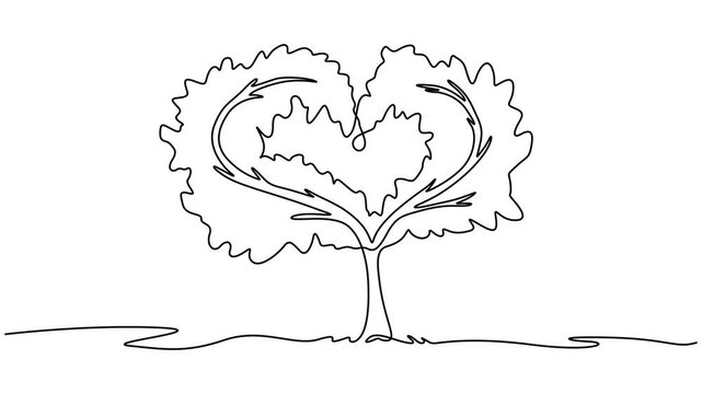  A very shady tree that is cared for with all the heart. Tree Concept. Full length animation, Self drawing animation of single one line drawing big tree with love shape and wide expanse of grass. pro.