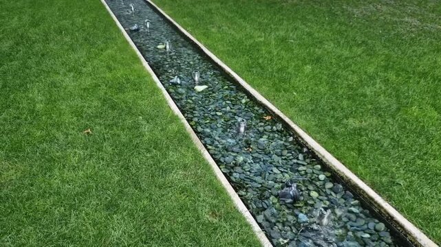 Narrow Water Rill lined stone or concrete trough filled with shallow water, gravel, and small fountain jets or lights.
​Flanking Lawn: Green turf running along both sides concrete border.A long, narro