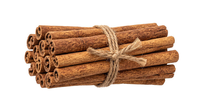 Bundle of cinnamon sticks tied with natural twine on a white background