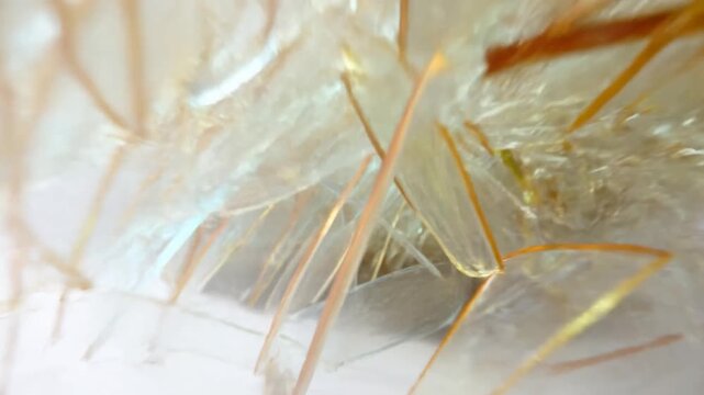 Crumpled translucent plastic packaging with tangled fibers in a bright abstract closeup