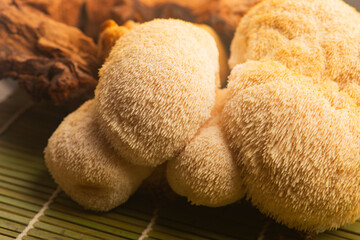 Fresh Lion's Mane Mushroom.  Hericium erinaceus © joanna wnuk