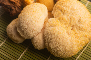 Fresh Lion's Mane Mushroom.  Hericium erinaceus © joanna wnuk