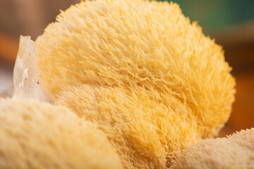 Fresh Lion's Mane Mushroom.  Hericium erinaceus © joanna wnuk