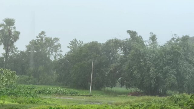 rural landscape under heavy monsoon rain overcast cloudy weather