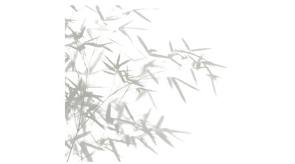 Obraz premium Bamboo leaf shadow overlay isolated on transparent background