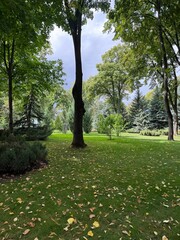 Obraz premium path in the park