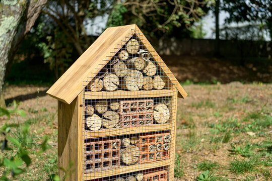 Wooden insect house for biodiversity support