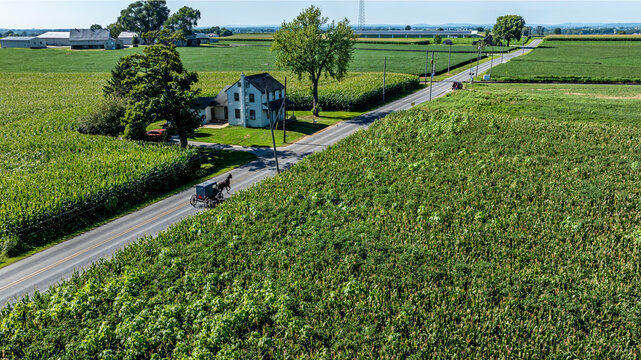 Horse and Buggy Travel Down a Rural Road in the Countryside Near Farmland and a House