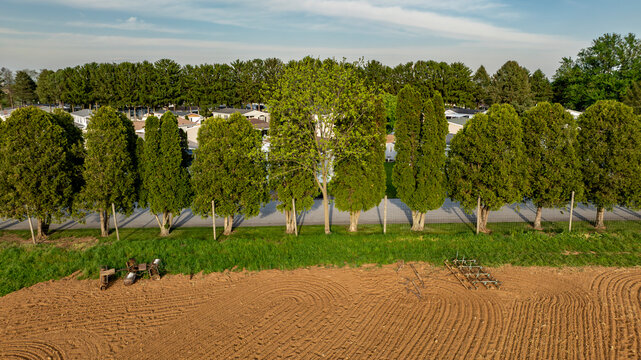 Farm Landscape With Trees and Buildings in the Background During Daytime Hours