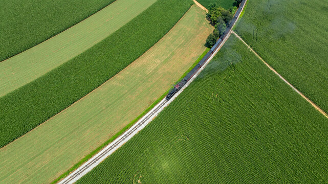 Fields of Crops Stretch Along the Winding Road in the Countryside During Daylight Hours