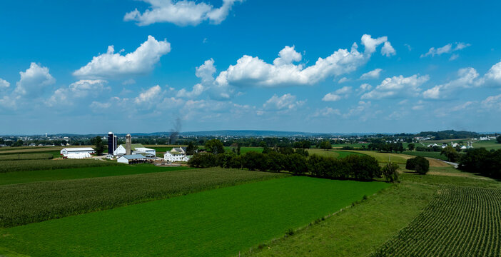 Expansive Farmland Under Bright Blue Sky With Clouds and Lush Greenery