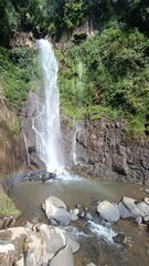 Scenic view of a powerful waterfall cascading down a rocky cliff in a dense jungle © Edwin