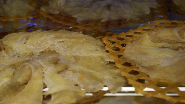Dried shark fins or seafood delicacies arranged on traditional circular bamboo woven trays in a market display. High-end Asian culinary ingredient used for soup. Close-up view with soft lighting.