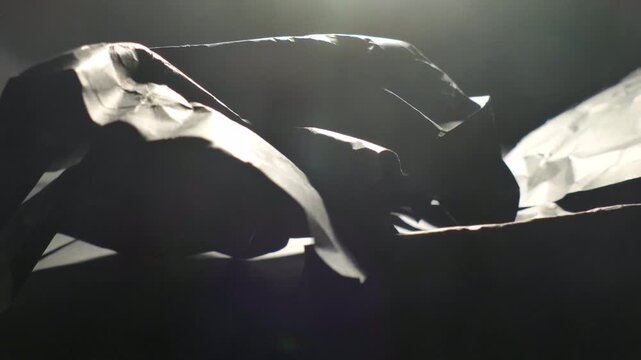 Abstract dark shapes and silhouettes moving in dramatic light.
