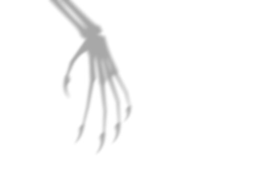 A dark spooky shadow of a skeletal hand with long sharp fingers cast on a surface presented as an isolated object isolated on transparent background