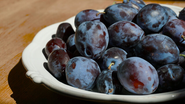 Freshly picked purple plums with a dusty blue-grey bloom on the skin, piled in a white ceramic bowl on a rustic wooden table, homegrown harvest for recipe features and seasonal eating content.
