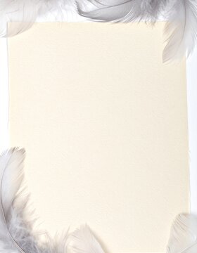 Soft grey feathers framing ivory handmade paper, delicate border with copy space