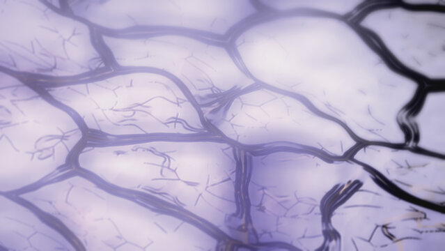 Abstract network of veins or capillaries