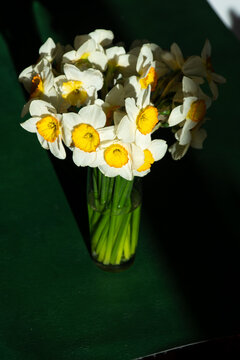 Bouquet of White Daffodils with Orange Center in Glass Vase on Green Background. Narcissus yellow Flower Bud