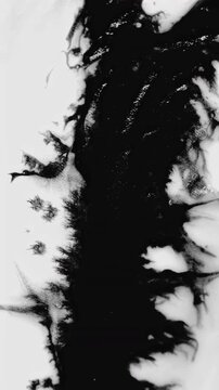 Abstract ink. Black ink drifts and spreads on white surface in real camera recording. Abstract liquid movement builds layered organic streaks and splashes, creating intense modern art mood.