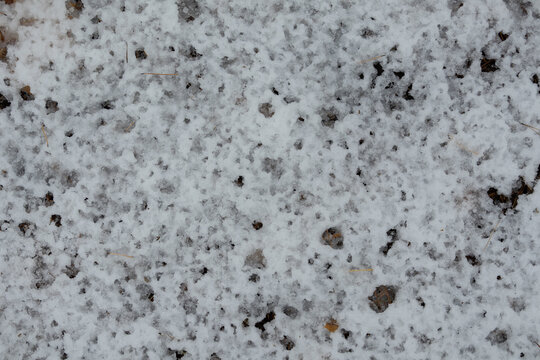 Thaw snow-melt period of warmer weather that thaws ice and snow. Raindrops pattern on snow