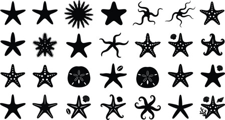 Fototapeta premium Starfish silhouette vector icon set with sand dollar echinoderm and marine life elements for summer beach designs