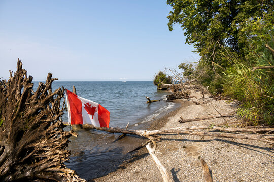 Lakeside view in Rondeau Provincial Park, ON with a Canadian flag, driftwood, calm waters, and lush greenery.