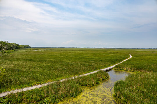 Discover the sweeping marshland views and winding boardwalk at Point Pelee National Park, Ontario.