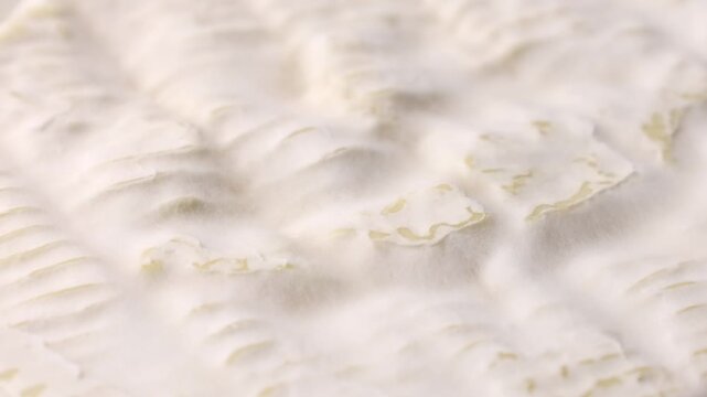 Creamy brie or camembert cheese wheel crust circle rotation close up