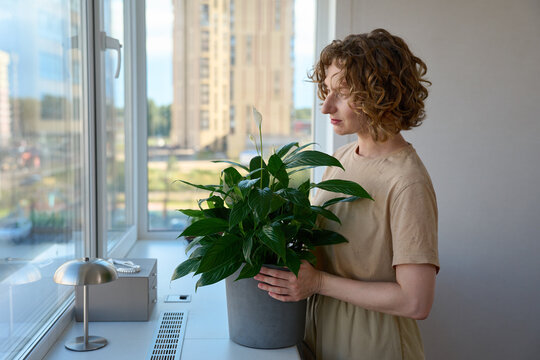 Woman holding a potted peace lily by the windowsill.