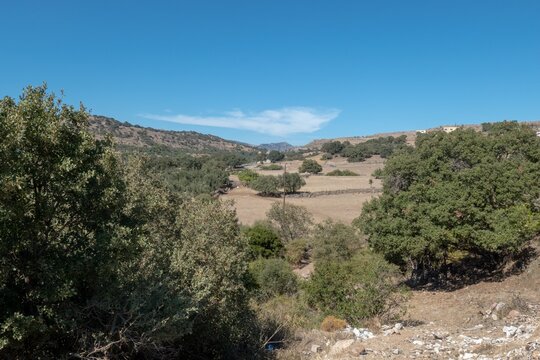 Napi valley on northern Lesbos island, Greece.