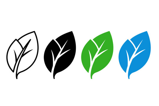 Set of four leaf icons in different styles including outline solid green and blue vector illustrations