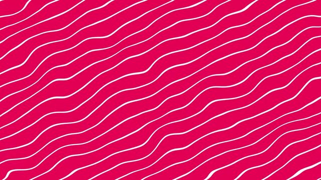 Hand drawn white wavy lines rotating on vibrant magenta pink background loop for 2D animated overlays, artistic title backdrops, creative social media content, and fun doodle motion graphics.